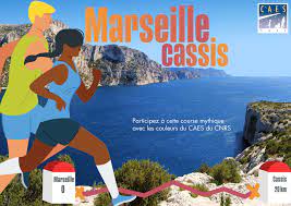 You are currently viewing 20km marseille cassis